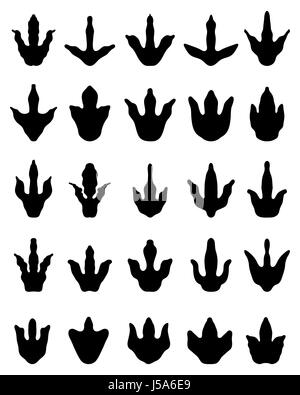 Black footprints of dinosaurs on a white background Stock Photo