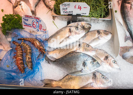 Seafood,fresh,fish,Swansea,indoor,market,Wales,U.K.,UK, Stock Photo