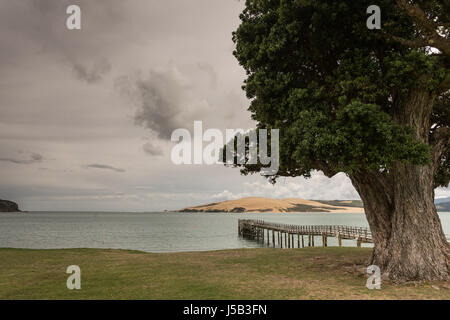 Bay of Islands, New Zealand - March 7, 2017: Exit to Tasman Sea from Hokianga Harbour shows large dune, pier, large tree, all under heavy cloudscape b Stock Photo