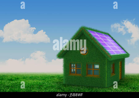 Small model of green house against scenic view of grassy field Stock Photo