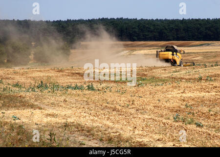 dust agriculture farming field grain dryness drought corn field stubble field Stock Photo