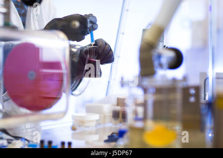 Science, chemistry, technology, biology and people concept - close up of scientists hands carrying out research experiments in a lab (color toned imag Stock Photo