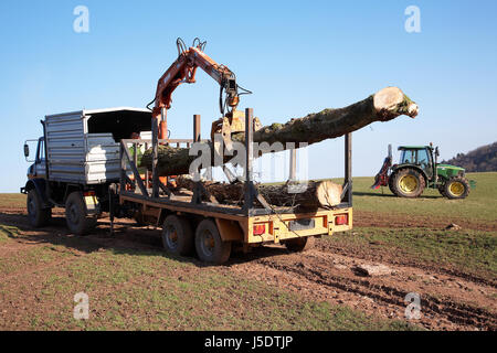 Farmer in South Wales, loading up a flatbed with trees that were toppled in a storm using a mechanical grabber. Stock Photo