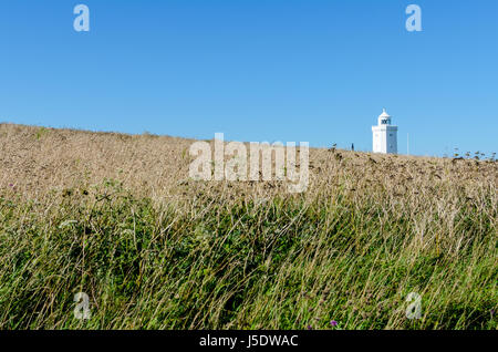 Tall grass and the South Foreland Lighthouse in summer at Dover, Kent, England Stock Photo
