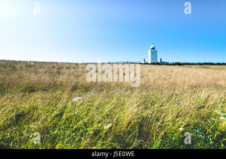 Grass bends in the wind in summer as the South Foreland Lighthouse towers in the background at Dover, Kent, England Stock Photo