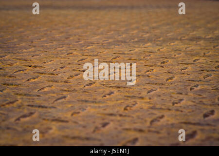 Old rusty diamond plate steel floor background Stock Photo