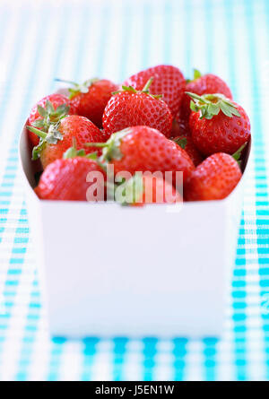 Strawberry, Fragaria x ananassa, Studio shot of red fruit in container. Stock Photo