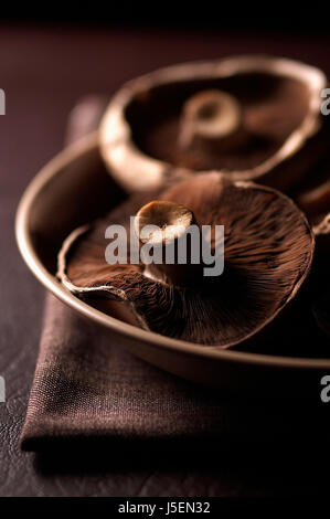 Mushroom, Portobello mushroom, Psalliota bisporus, Studio shot of brown coloured fungi. Stock Photo
