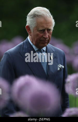 The Prince of Wales views allium flowers planted in the Great Broad Walk Borders at the Royal Botanic Gardens, at Kew, Richmond, Surrey. Stock Photo
