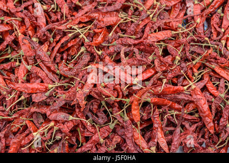 Chili peppers drying in the sun Kerala, South India, South Asia. Also known as chilli pepper and chile pepper. Stock Photo