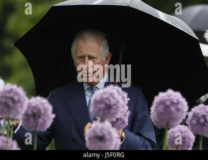 The Prince of Wales views allium flowers planted in the Great Broad Walk Borders at the Royal Botanic Gardens, at Kew, Richmond, Surrey. Stock Photo