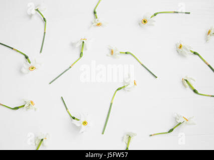 Seamless daffodils pattern on white background, daffodils flowers in various positions on white board Stock Photo
