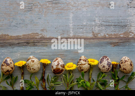 Spring easter wooden background with quail eggs. Stock Photo