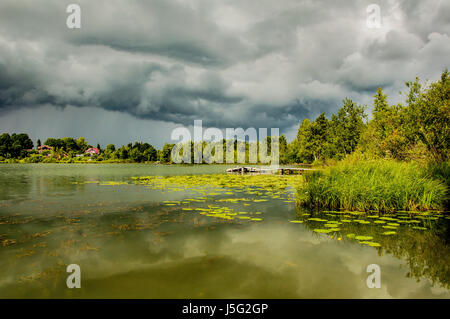 Pond with yellow pods in changeable weather Stock Photo