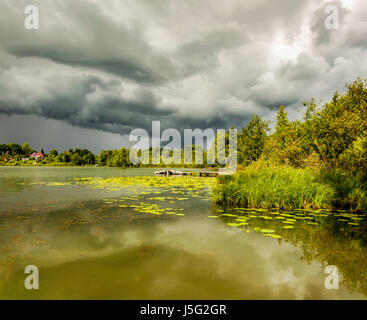 Pond with yellow pods in changeable weather Stock Photo