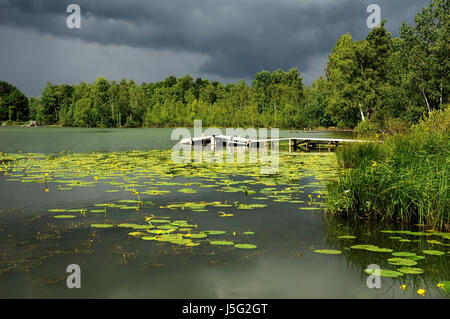 Pond with yellow pods in changeable weather Stock Photo