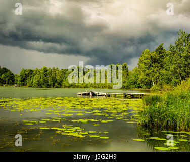 Pond with yellow pods in changeable weather Stock Photo