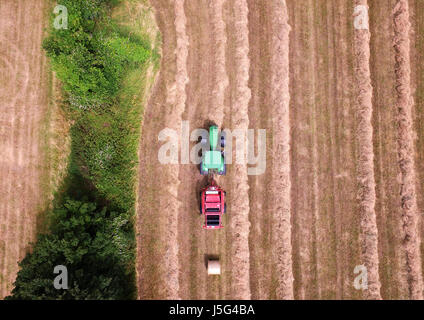 Tractor harvesting hay in East Anglia - aerial view Stock Photo