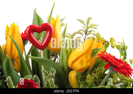 optional green roses tulips bouquet flower gerbera plant ostrich valentin love Stock Photo