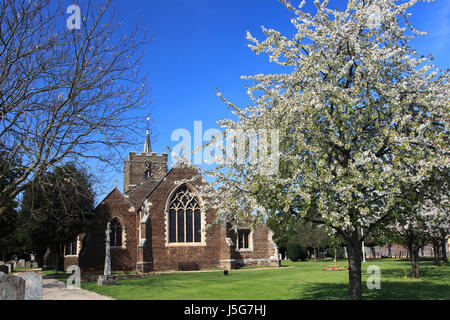 St Swithun parish church, Sandy town, Bedfordshire; England; UK Stock Photo