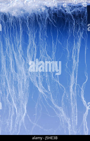 science research thread blood threads biology genes bleb genetics ...