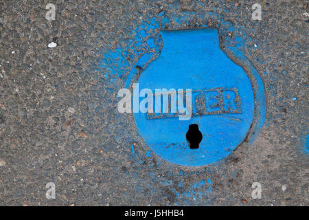 Mains water supply tap cover in pavement sprayed blue Stock Photo