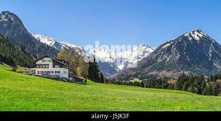 House on flower meadow and snow covered mountains in background Stock Photo