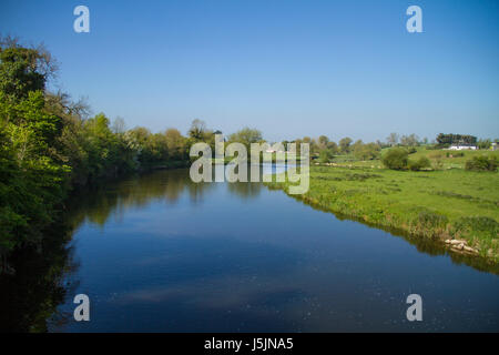 BATTLE OF THE BOYNE 1 July 1690. William III of Orange leads his ...