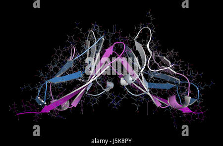 Carcinoembryonic antigen (CEA, CEACAM5, N-terminal domain). Used as tumor biomarker in some forms of cancer. 3D rendering. Stock Photo