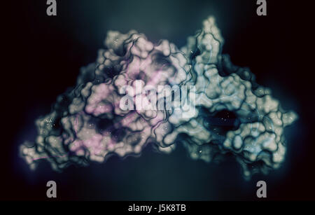 Carcinoembryonic antigen (CEA, CEACAM5, N-terminal domain). Used as tumor biomarker in some forms of cancer. 3D rendering. Stock Photo