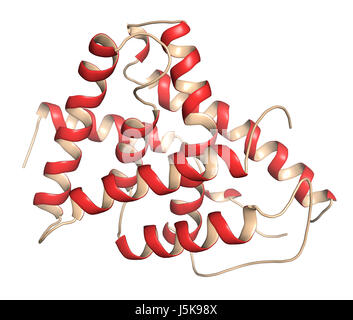 Farnesoid X receptor (ligand binding domain) protein. Target of the drug obeticholic acid. 3D rendering based on protein data bank entry 4wvd. Stock Photo