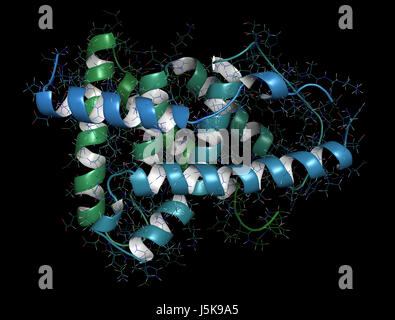 Farnesoid X receptor (ligand binding domain) protein. Target of the drug obeticholic acid. 3D rendering based on protein data bank entry 4wvd. Stock Photo