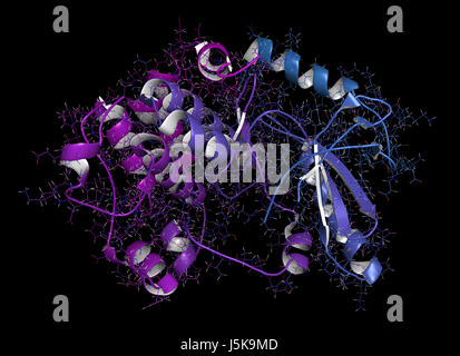 MEK1 or mitogen-activated protein kinase kinase 1 (rabbit) protein. MEK inhibitors are used in treatment of cancer and includes cobimetinib. Stock Photo