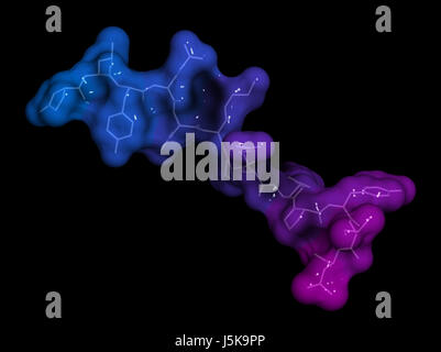 Neurotensin neurotransmitter peptide (Q1E mutated). 3D rendering based on protein data bank entry 2lne. Stock Photo