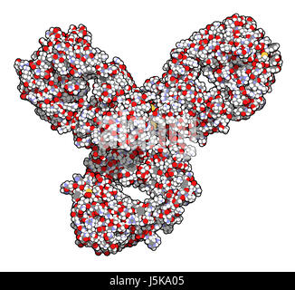 Pembrolizumab Monoclonal Antibody Drug Protein. Immune Checkpoint ...