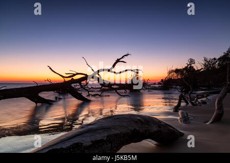 Sunrise and a Crescent Moon over Boneyard Beach on the Blackrock Trail, Big Talbot Island State Park, Florida Stock Photo