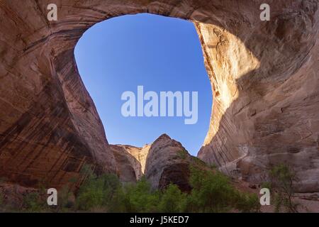 Grotto near Jacob Hamblin Arch in Coyote Gulch, Grand Staircase Escalante National Monument Utah Stock Photo