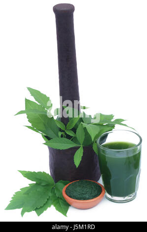 Medicinal Vitex Negundo leaves with extract juice Stock Photo