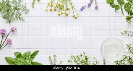 Fresh herbs on white masaic background Stock Photo