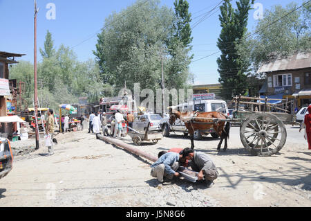 Kashmir Street Electric Pole, Worker, Government Service, Maintenance  (Photo Copyright © by Saji Maramon) Stock Photo