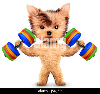 Funny dog training with dumbbell in sport gym. Concept of sport and fitness. Realistic 3D illustration. Stock Photo