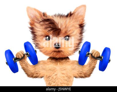 Funny dog training with dumbbell in sport gym. Concept of sport and fitness. Realistic 3D illustration. Stock Photo