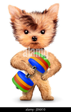 Funny dog training with dumbbell in sport gym. Concept of sport and fitness. Realistic 3D illustration. Stock Photo