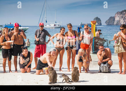 KO PHI PHI, THAILAND, February 1, 2014: Tourists feeding monkeys, top attraction of Phi Phi Islands, Monkey Bay (Ao Ling), Thailand Stock Photo