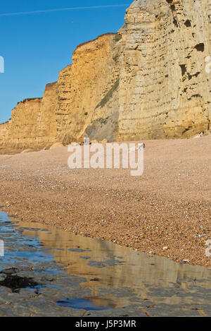 The view along Dorsets Jurassic Coast with the cliffs reflecting in rock pools on the beach at Burton Bradstock. Part of the South West Coast Path Stock Photo