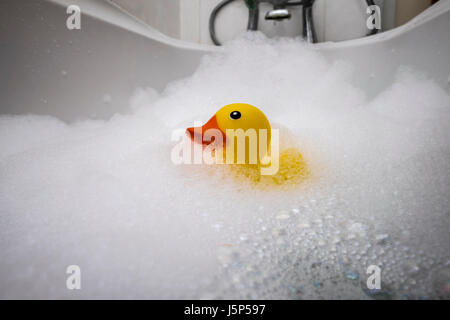 Bath time, a plastic duck in a foam bath. Stock Photo