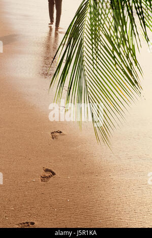 Tourist walking on the beach leaving footprints in the sand Stock Photo ...