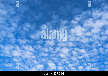 dh Sky clouds WEATHER UK Altocumulus floccus clouds White clouds over blue sky Stock Photo