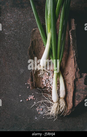 Fresh spring onion bundle Stock Photo