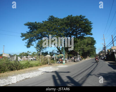 0003 Sampaloc-Tambubong-Caingin, San Rafael Sabang Baliuag Bulacan Arterial Road  11 Stock Photo